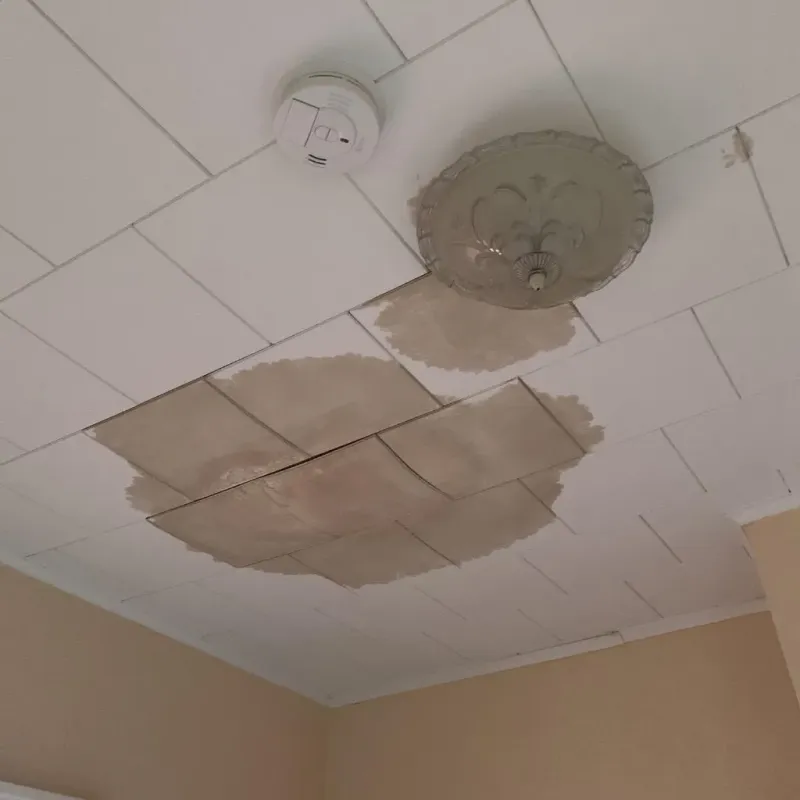 Ceiling Water Damage Repair in Colony Park, PA