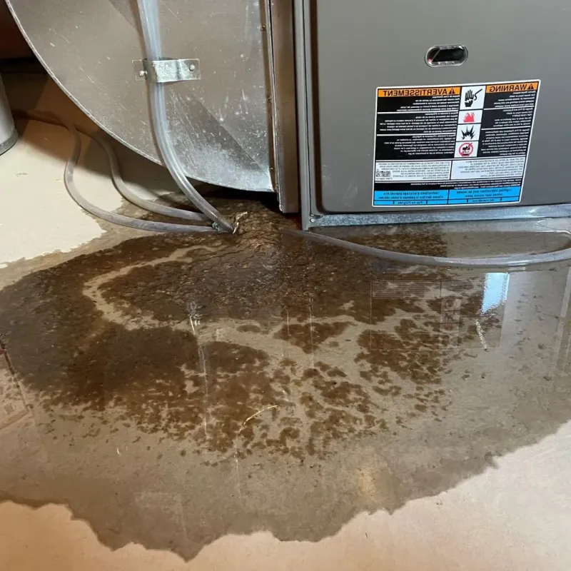 Pipe Burst and Leak Restoration in Colony Park, PA