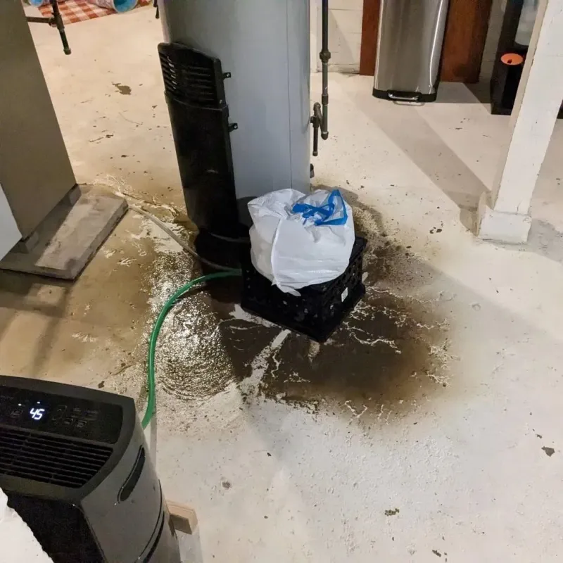 Sewage Backup Cleanup Service in Colony Park, PA